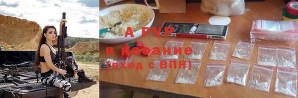 стаф Магас