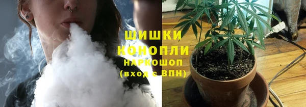 сатива Майский