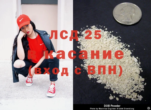 стаф Магас