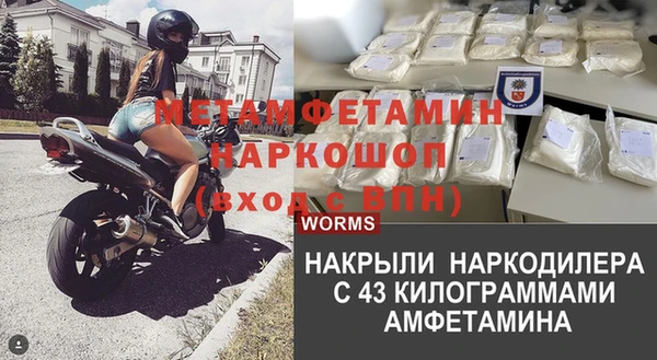 стаф Магас