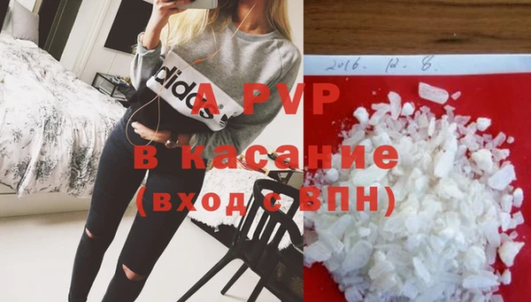 прущие крисы Магадан