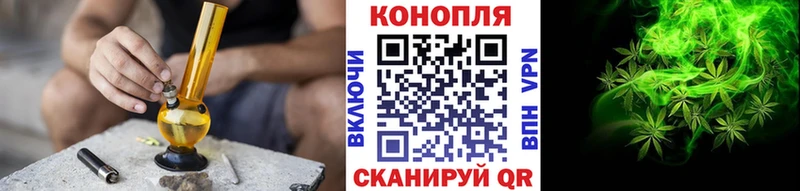 Канабис White Widow  darknet наркотические препараты  Щучье 